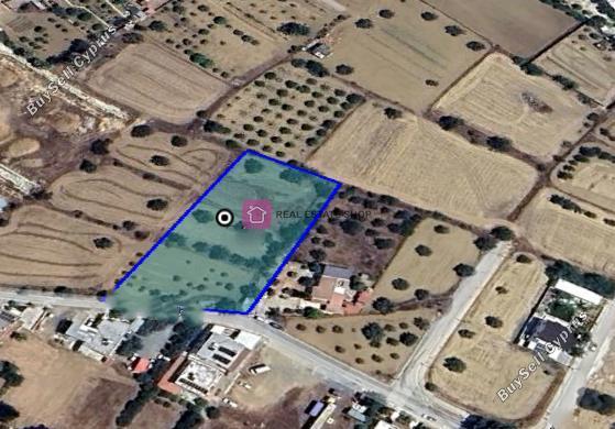land for sale anageia nicosia 8090330 image 13159465