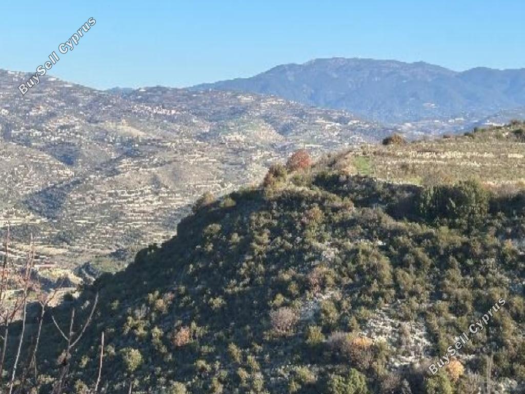 land for sale pachna limassol 8106430 image 15596084