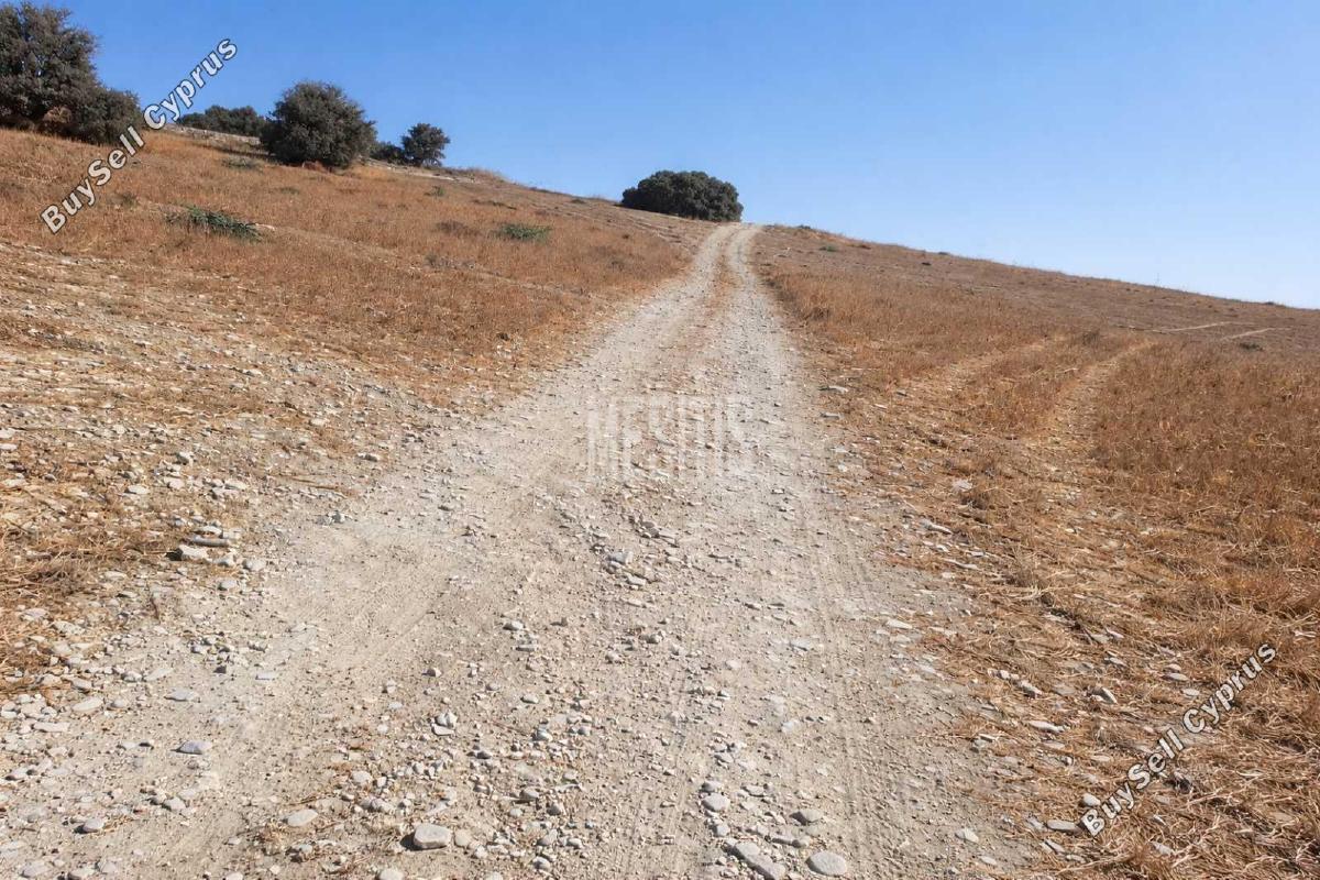 plot for sale alaminos larnaca 8249430 image 13880272