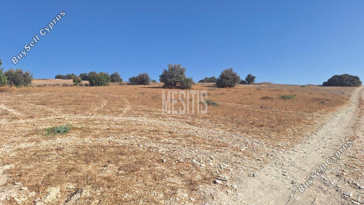 plot for sale alaminos larnaca 8249430 image 13880273