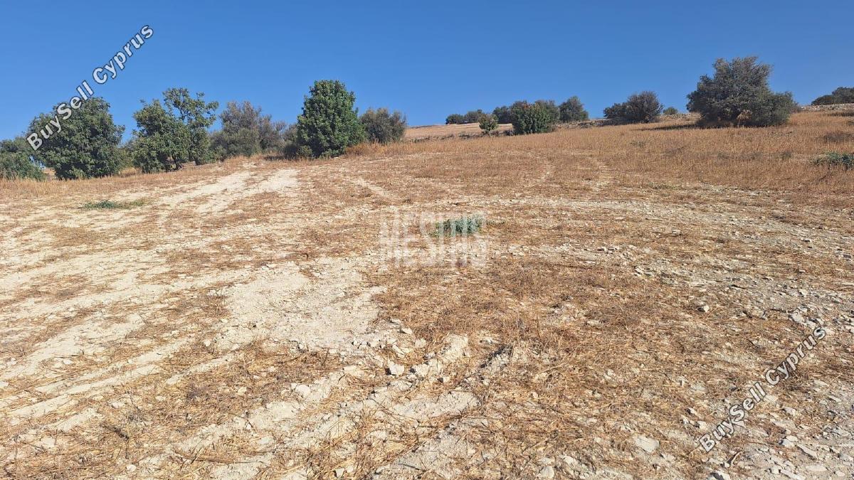 plot for sale alaminos larnaca 8249430 image 13880274