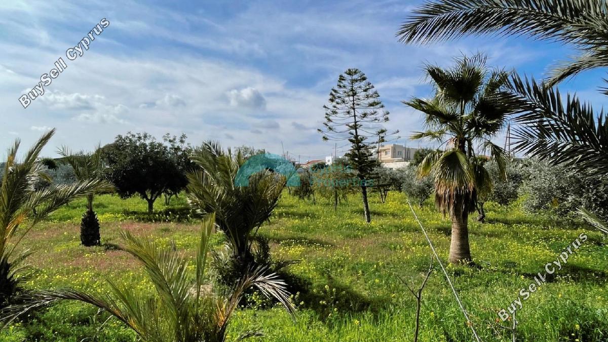 3 bedroom detached house for sale agioi trimithias nicosia 1311530 image 5445732