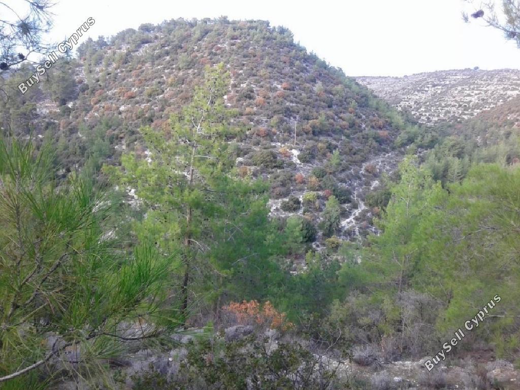 land for sale agios therapon limassol 927530 image 15602608