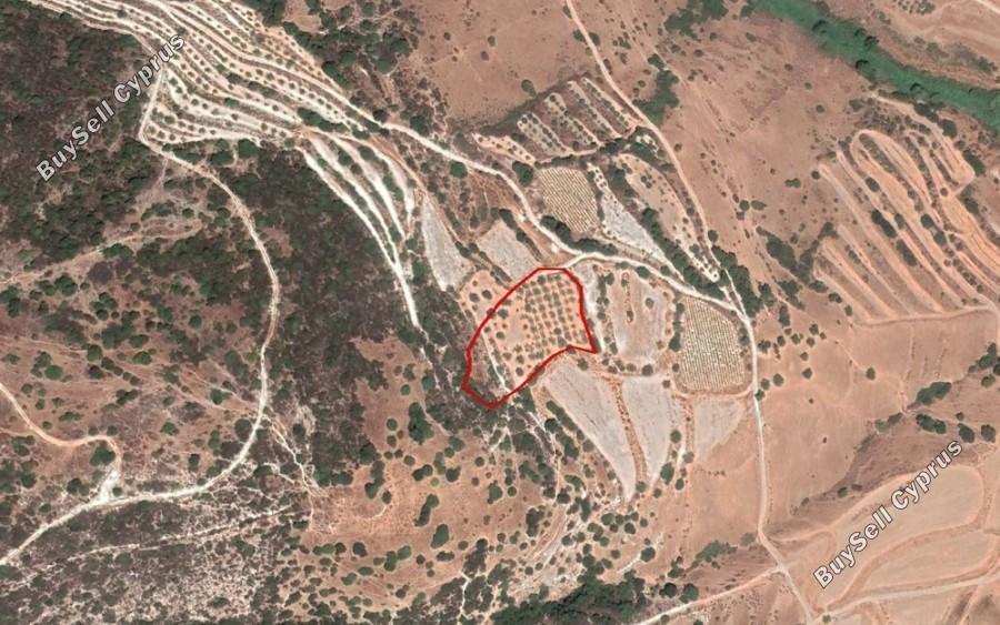 land off market kallepeia paphos 8630530 image 16210480