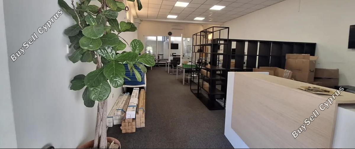 studio office for rent kato paphos paphos 8168530 image 13798297