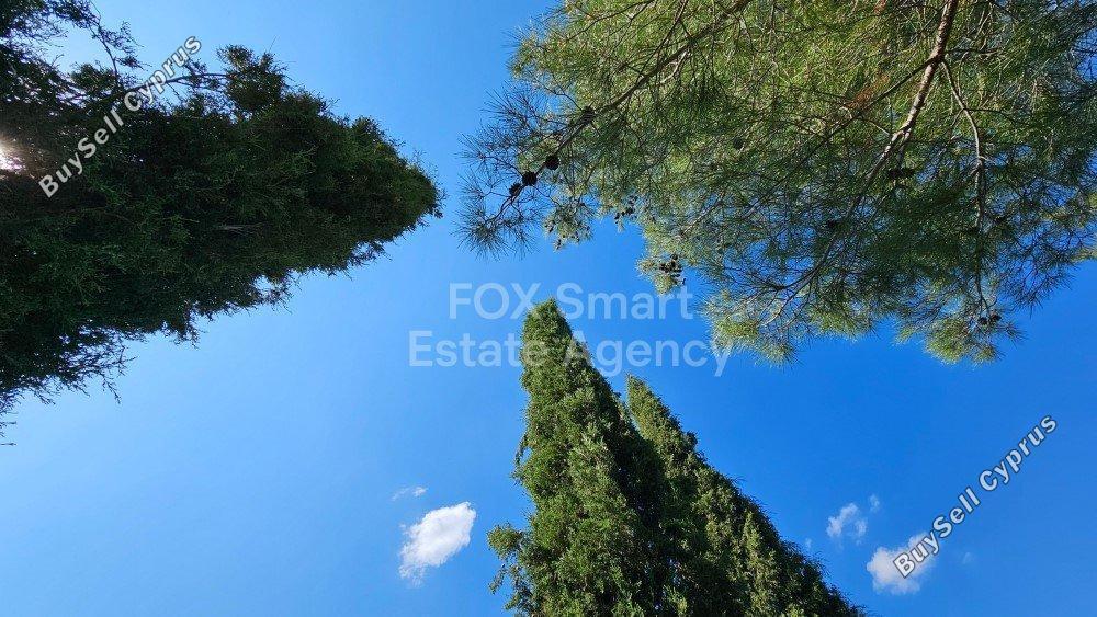 3 bedroom detached house for sale gourri nicosia 1224630 image 7283302