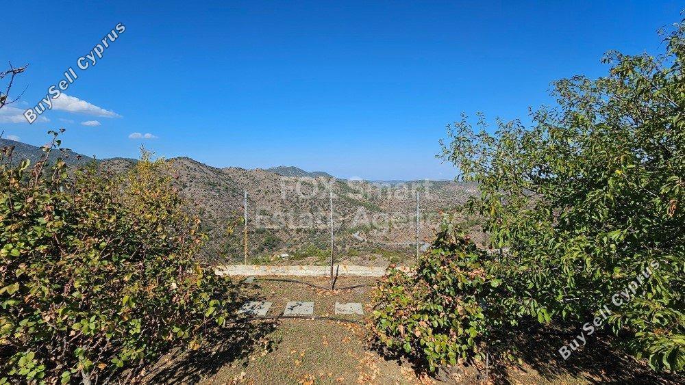 3 bedroom detached house for sale gourri nicosia 1224630 image 7283324