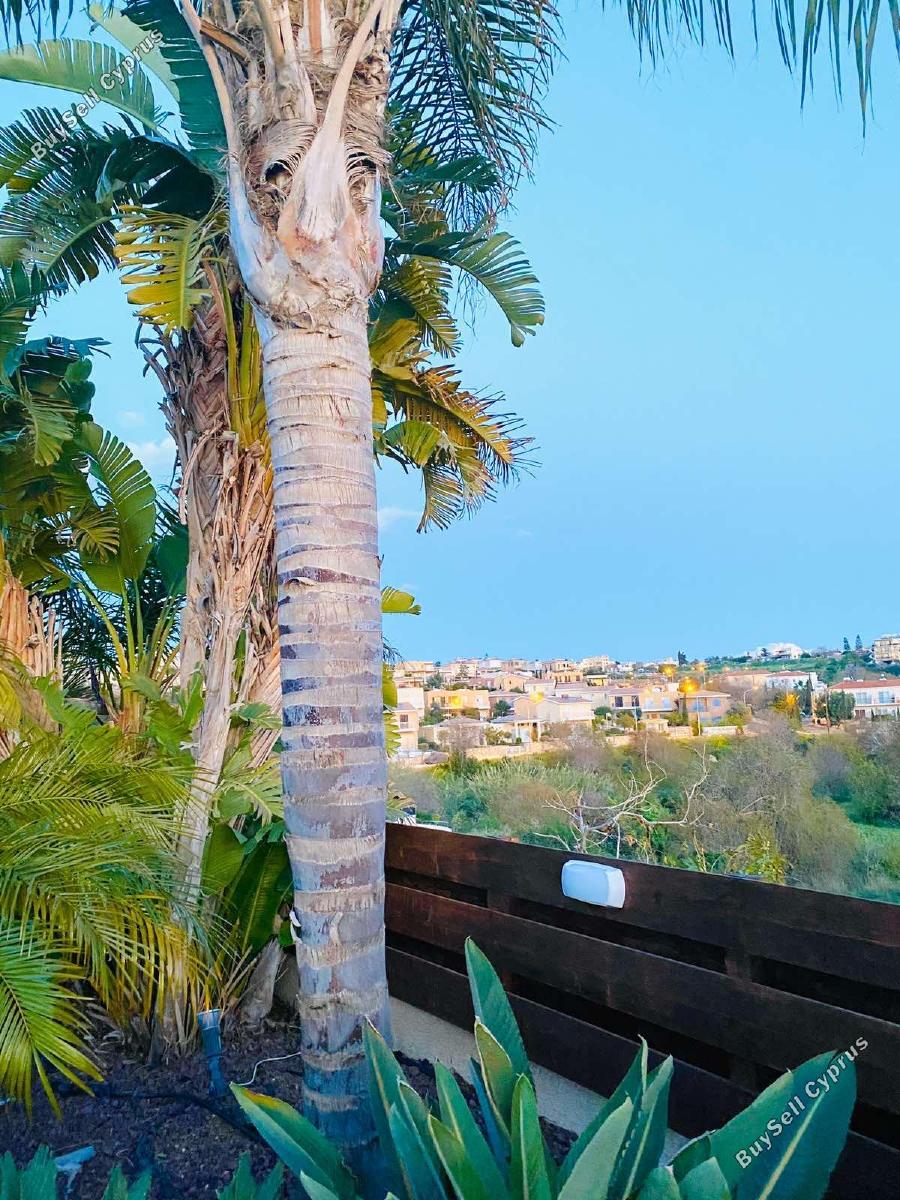 5 bedroom detached house for rent chlorakas paphos 8803630 image 16774511