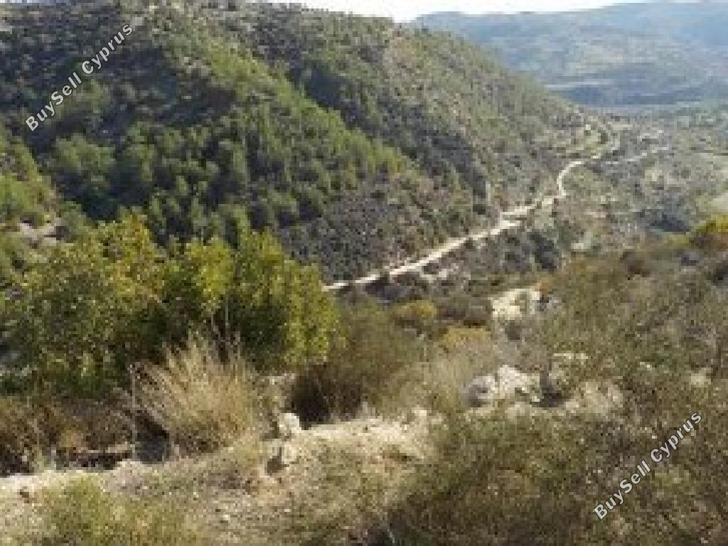land for sale kallepeia paphos 8628630 image 15863245