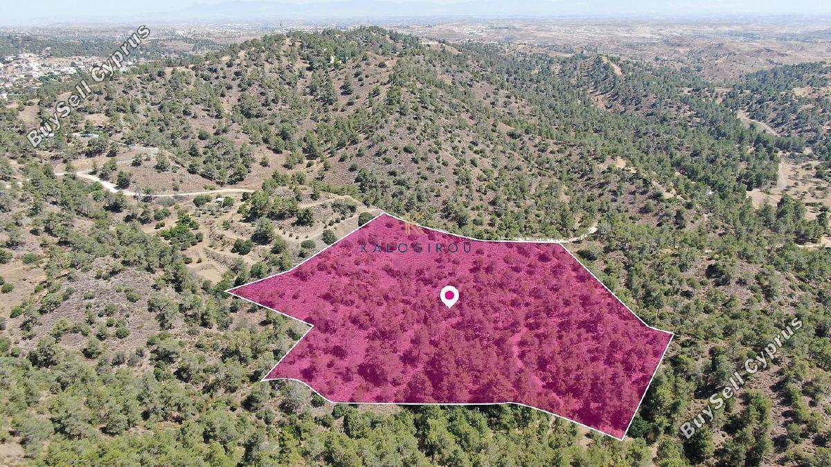 land for sale kapedes nicosia 1650630 image 5673942