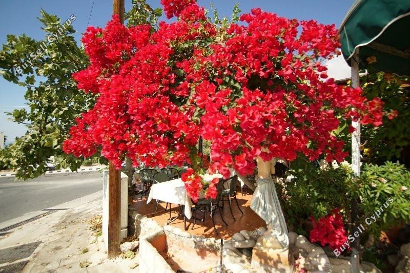 studio restaurant for sale tala paphos 8238630 image 14244484