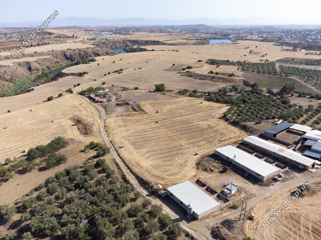 land for sale klirou nicosia 945730 image 15600649