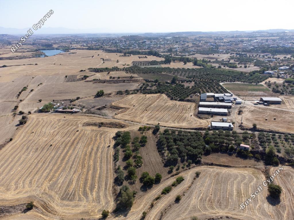 land for sale klirou nicosia 945730 image 15600651