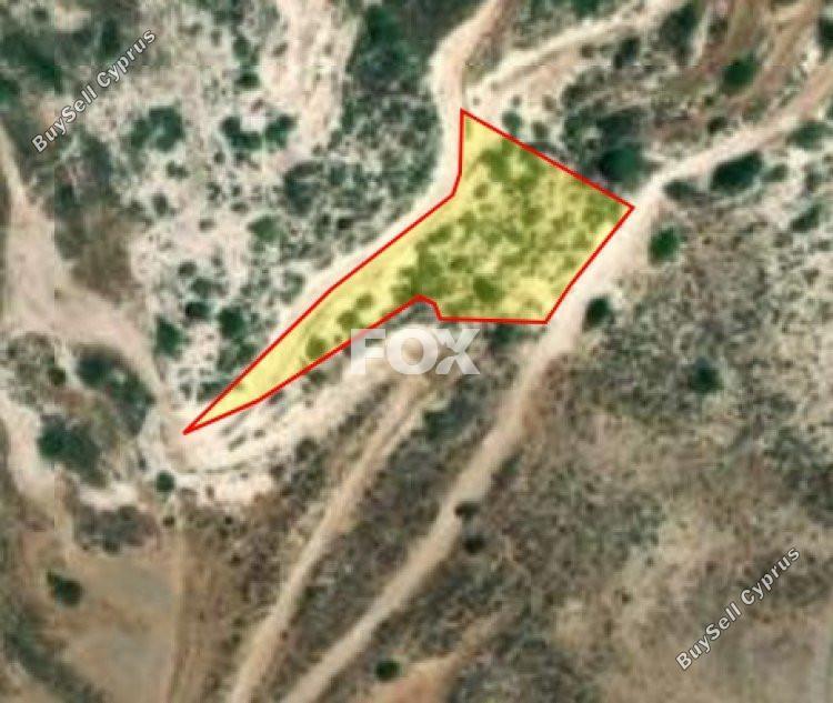 land for sale peyia paphos 1159730 image 14827209