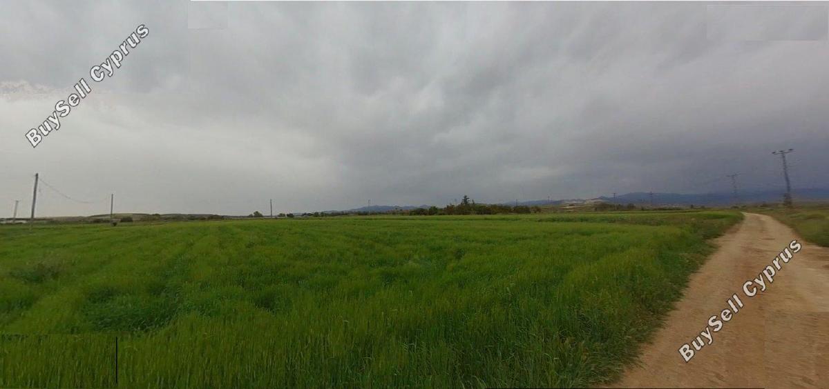 plot for sale meniko nicosia 8779730 image 16631811