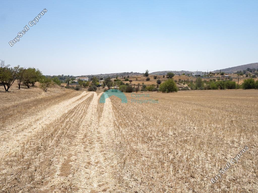 land for sale mitsero nicosia 7750830 image 10273981