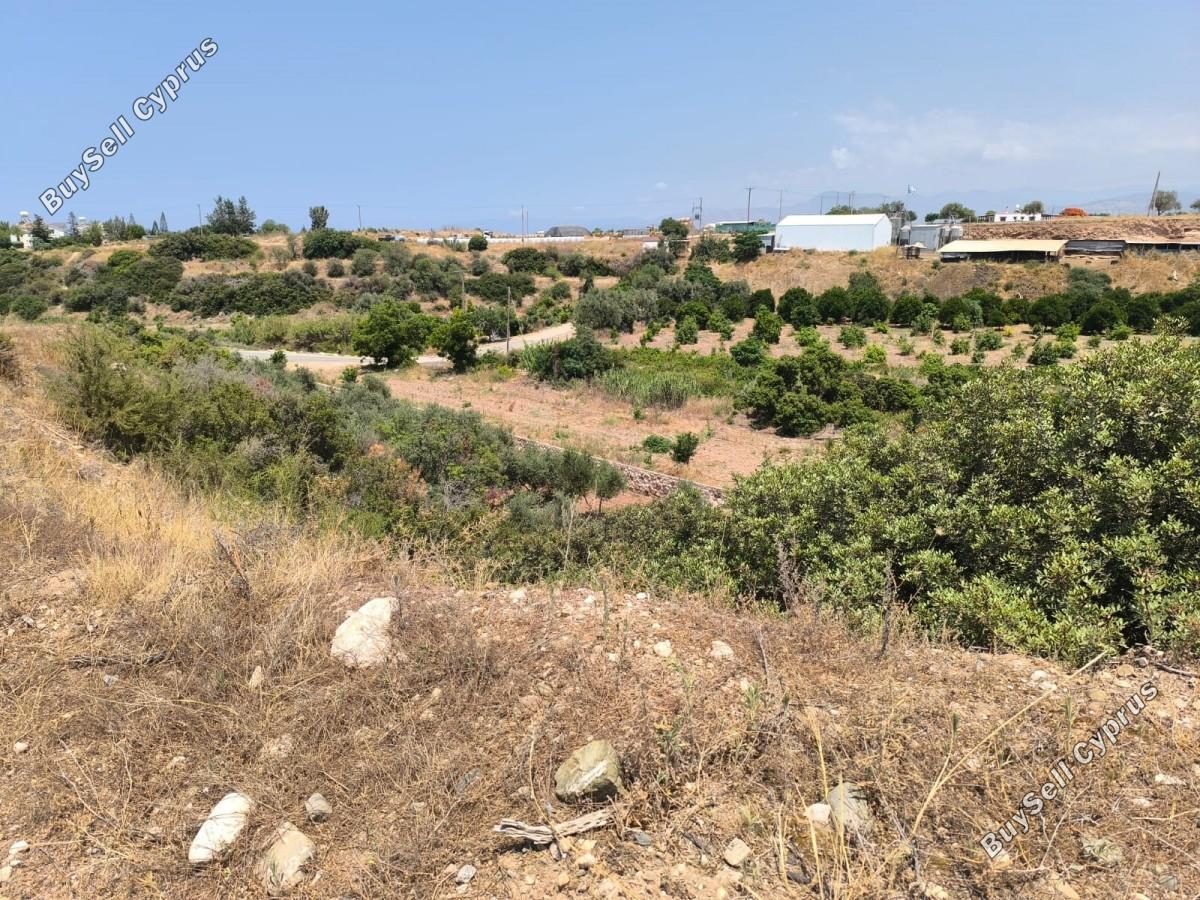 land for sale prodromi paphos 8395830 image 14822001