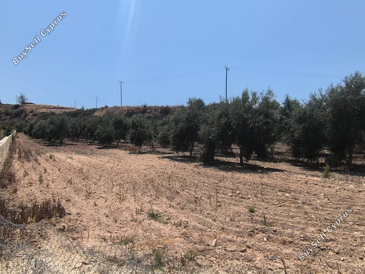 land for sale prodromi paphos 8395830 image 14822003