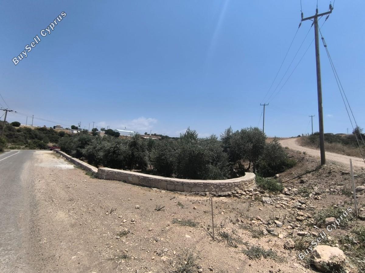 land for sale prodromi paphos 8395830 image 14822004