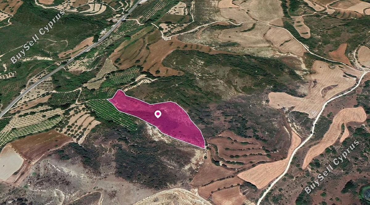 land under offer loukrounou paphos 1104930 image 15933939