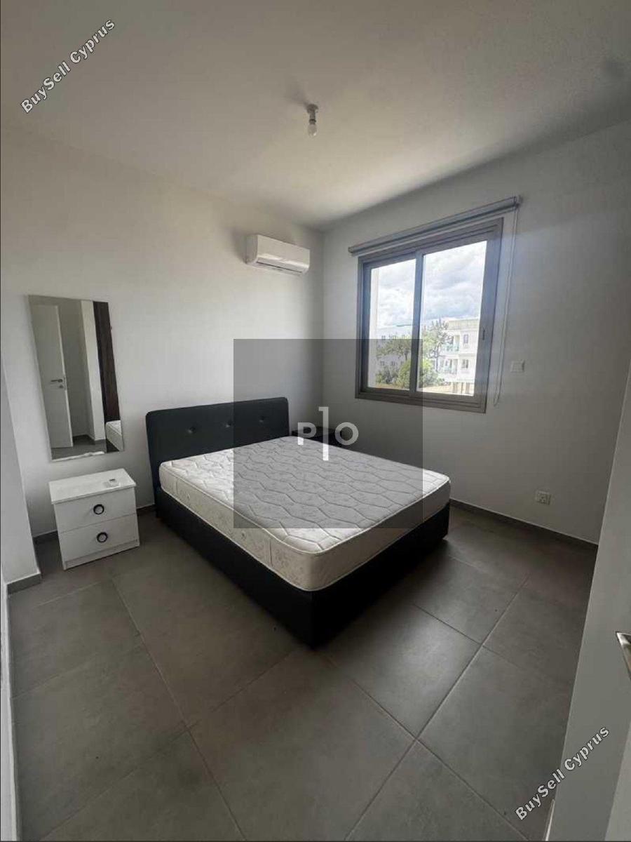 1 bedroom apartment for rent aglantzia nicosia 8612040 image 16425285