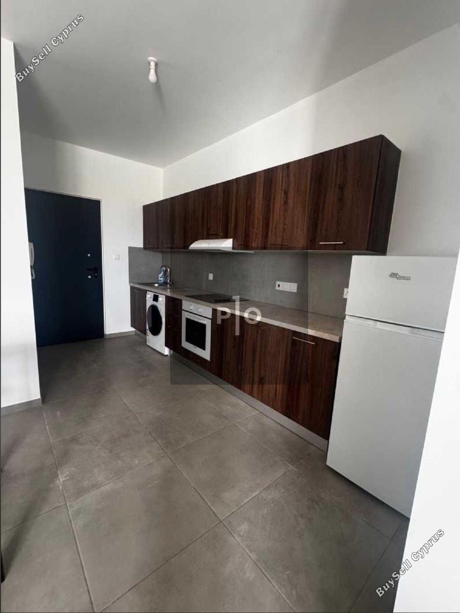 1 bedroom apartment for rent aglantzia nicosia 8612040 image 16425292