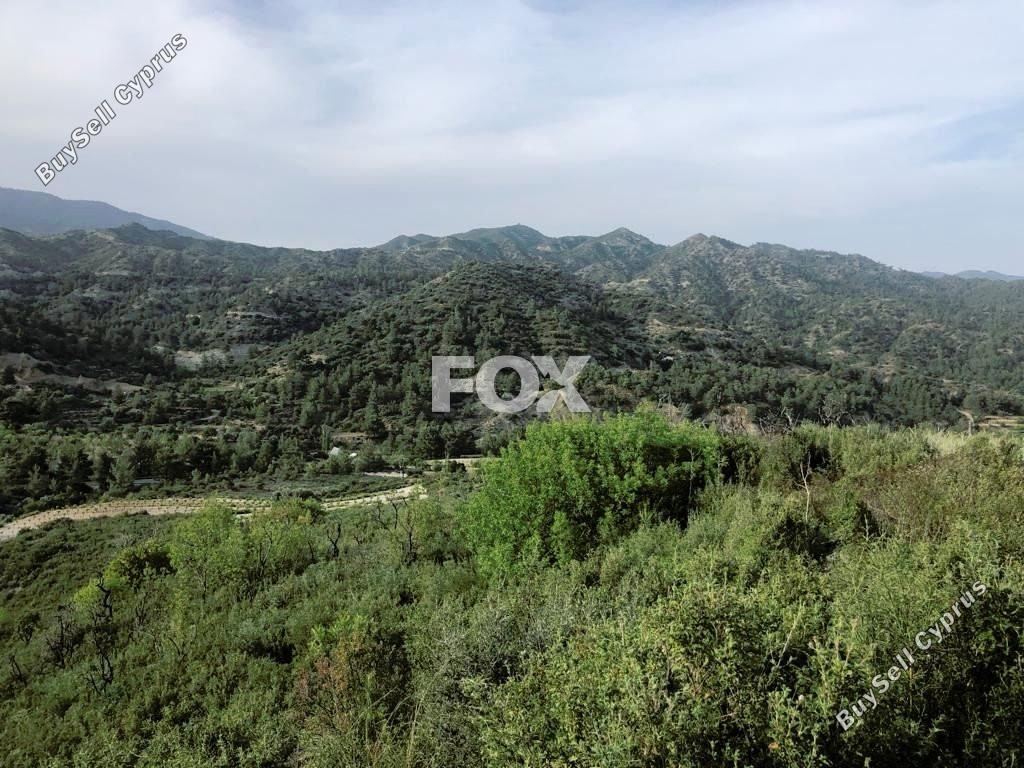 land for sale agios mamas limassol 1279040 image 14696494