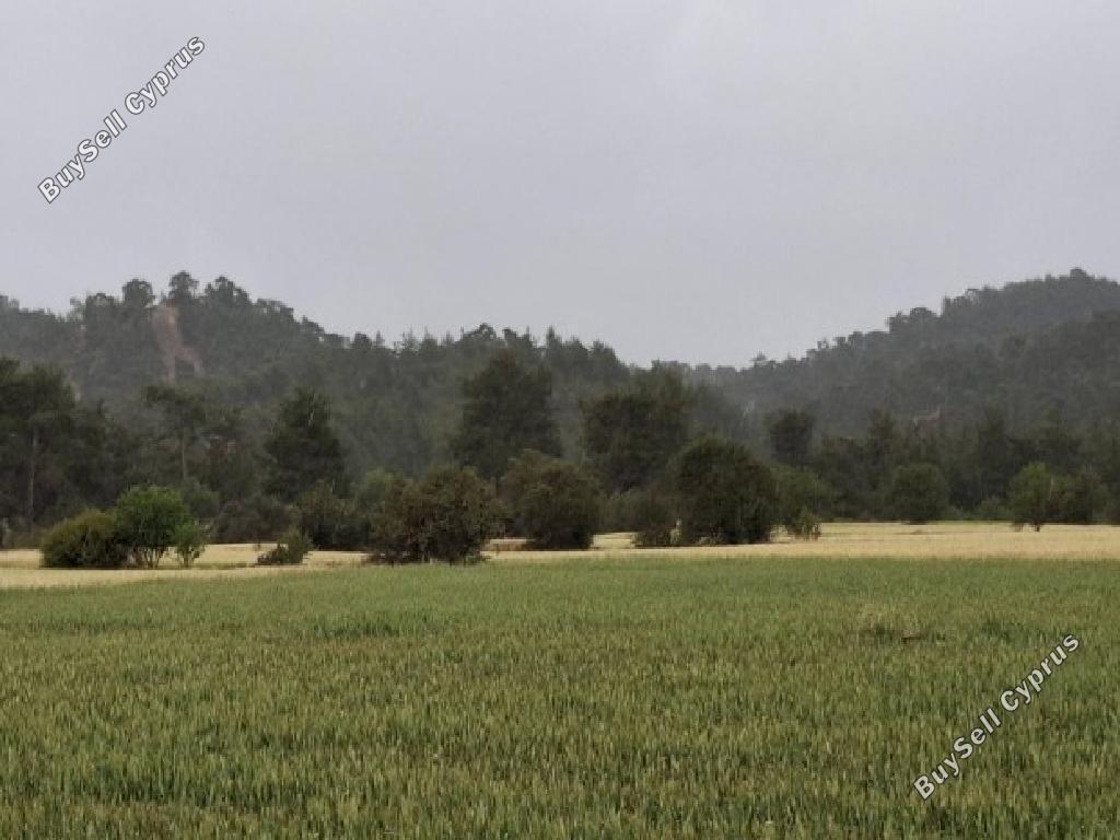 land for sale mitsero nicosia 8629040 image 15864961