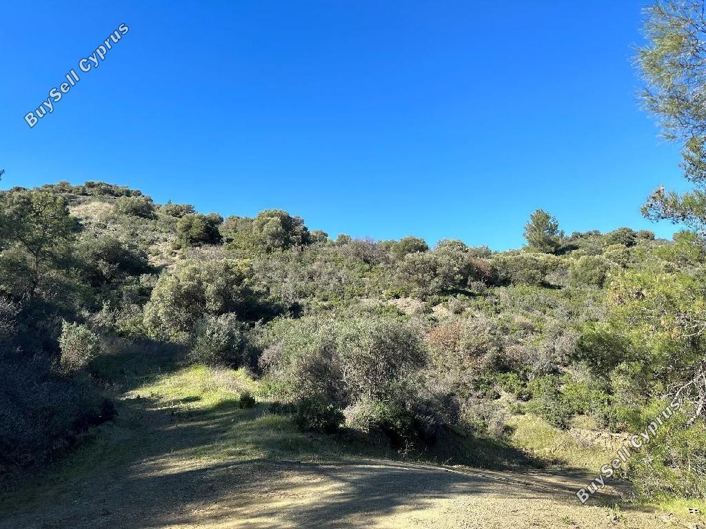 land for sale lythrodontas nicosia 1936240 image 15597443