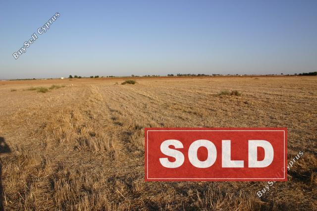 land sold avgorou famagusta 230240 image 274125