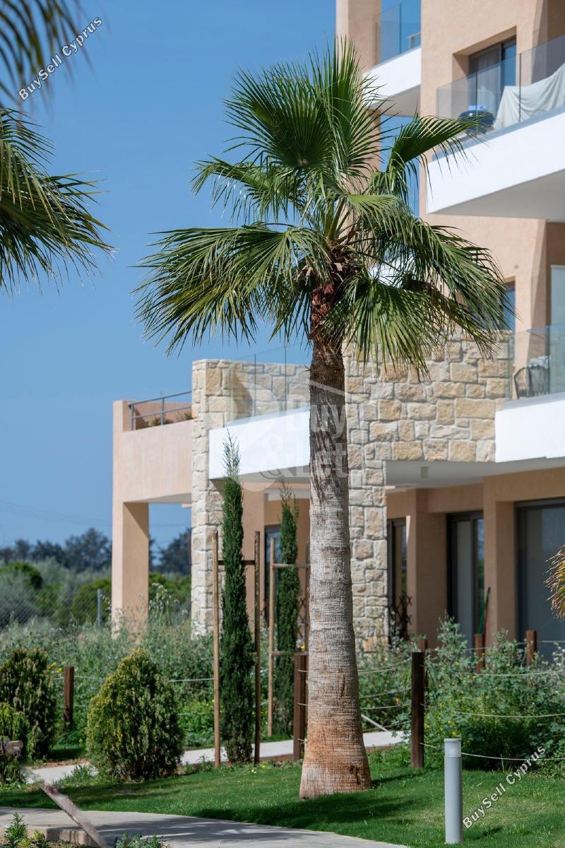 2 bedroom apartment for sale trachoni lemesou limassol 7949340 image 16731275