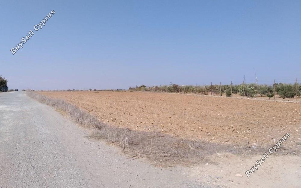 land for sale avgorou famagusta 829340 image 1055289