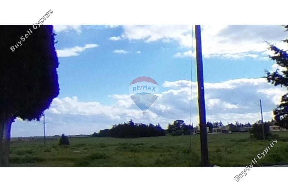 land for sale meneou larnaca 8645340 image 15933651