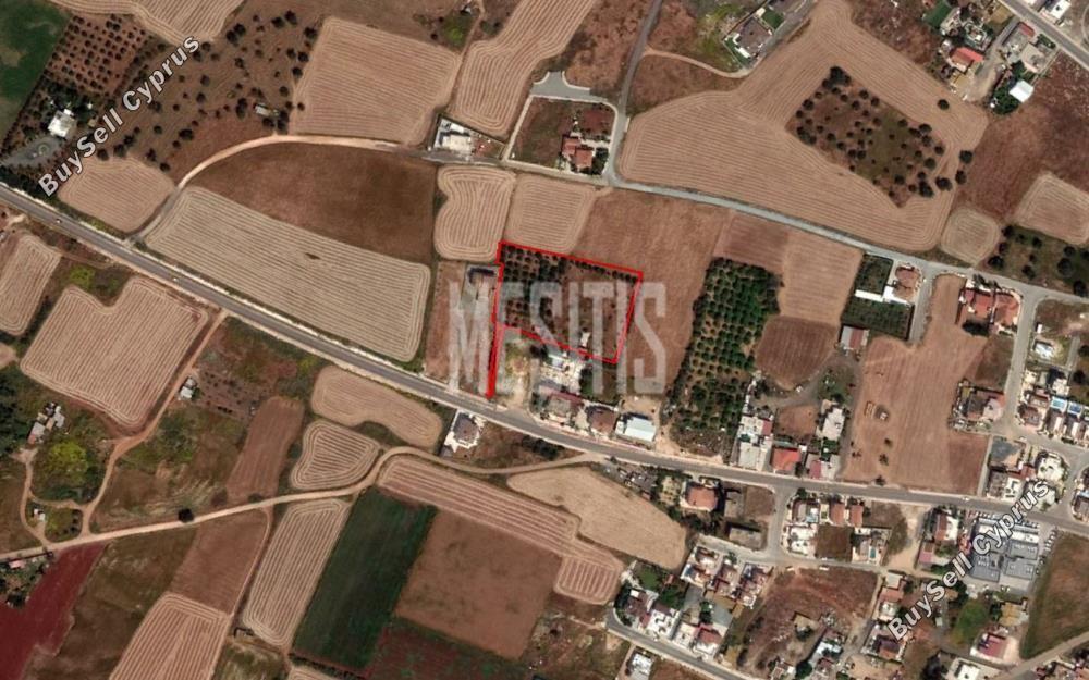plot for sale avgorou famagusta 1843340 image 10523979