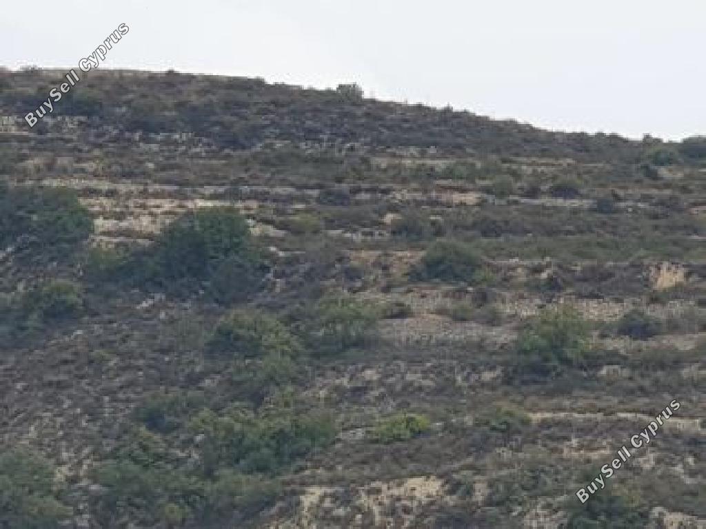 4348 SQM Land for sale in Praitori, Paphos 15597469