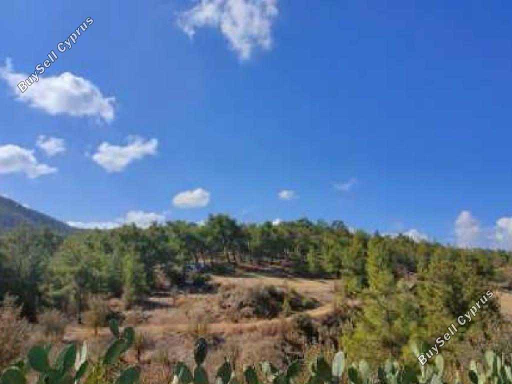 land for sale nikitari nicosia 1353440 image 15598658