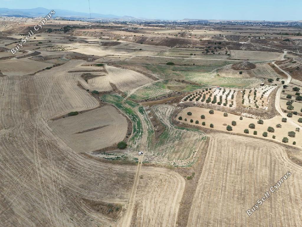 land for sale tseri nicosia 826440 image 15602151