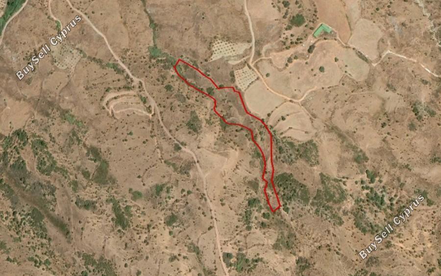 12375 SQM Land for sale in Episkopi Pafou, Paphos 15873658