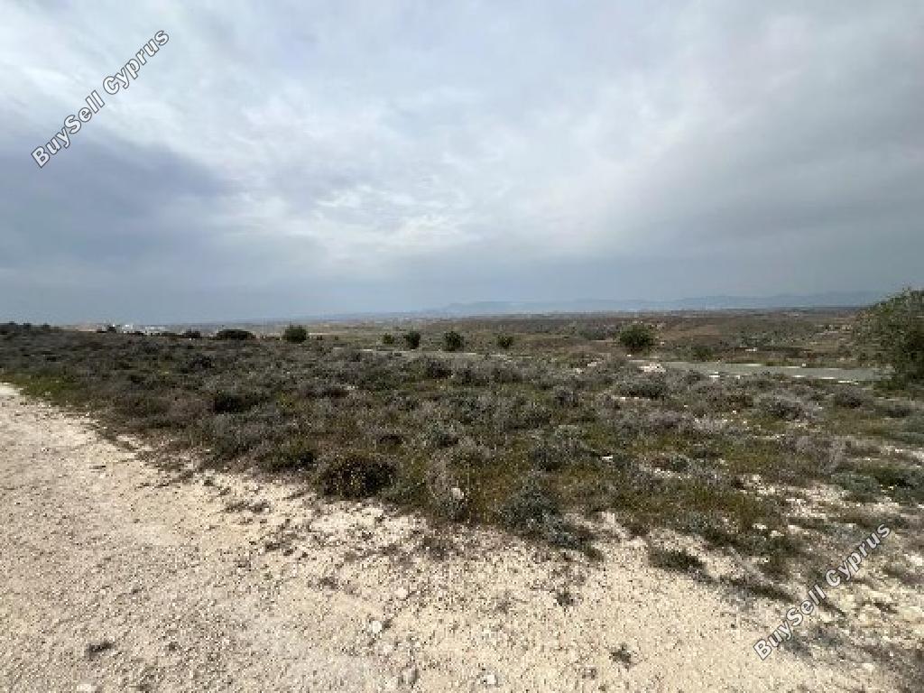 land for sale agrokipia nicosia 8374540 image 16700660
