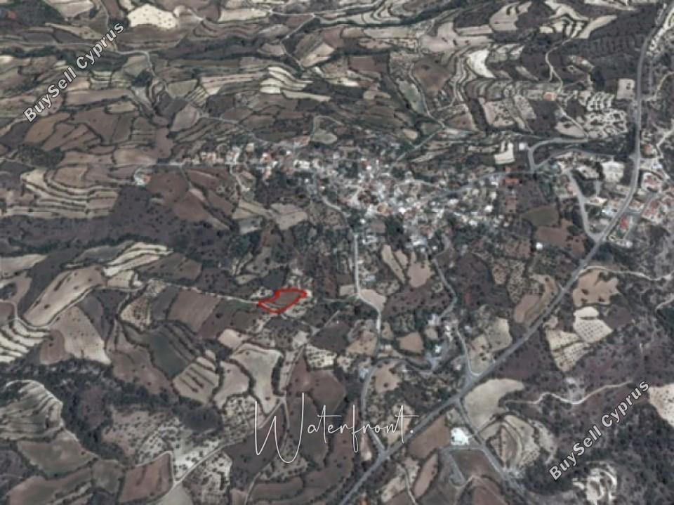 land for sale amargeti paphos 8959540 image 17782498