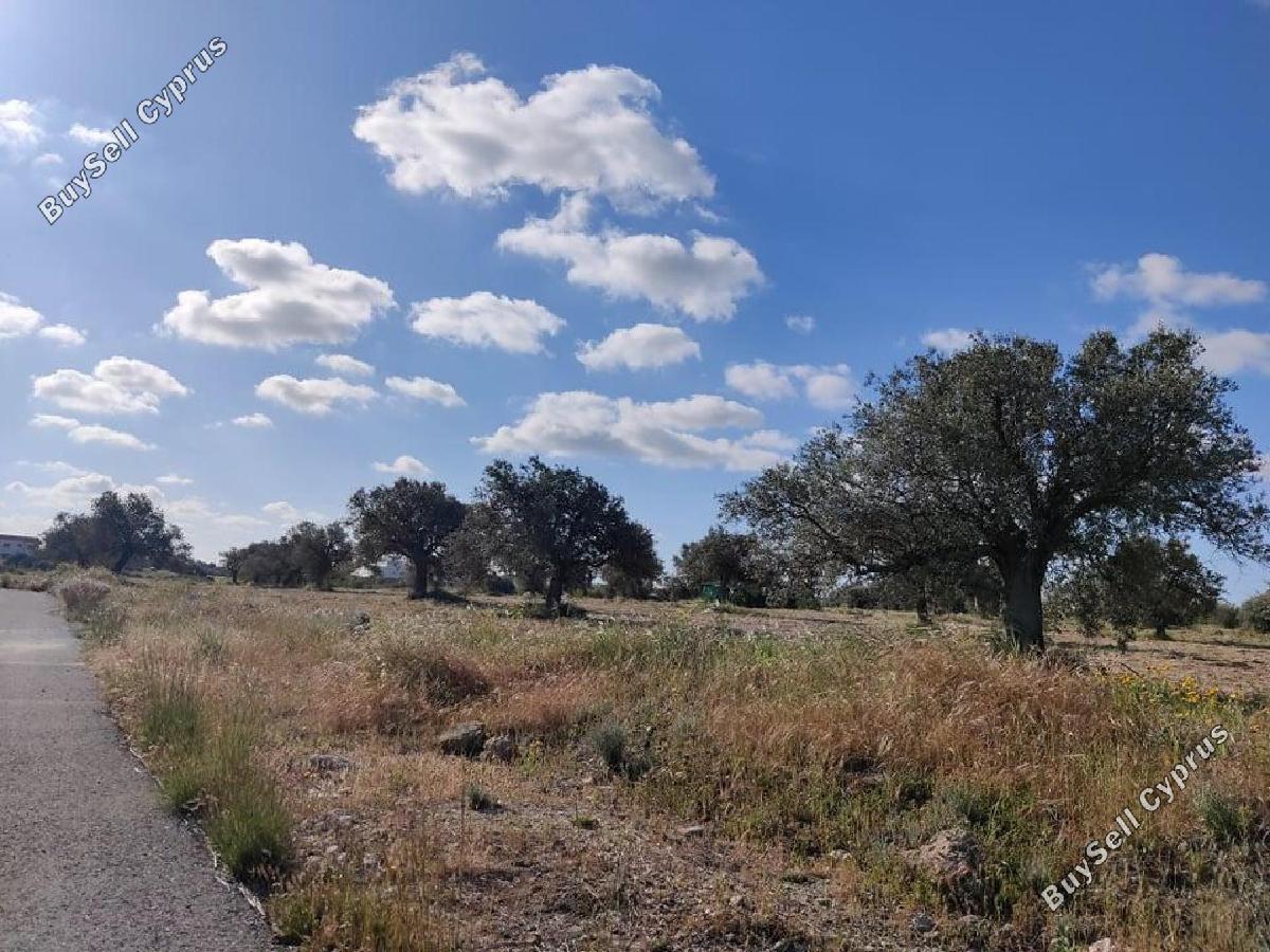land for sale latsia nicosia 8726540 image 16331873