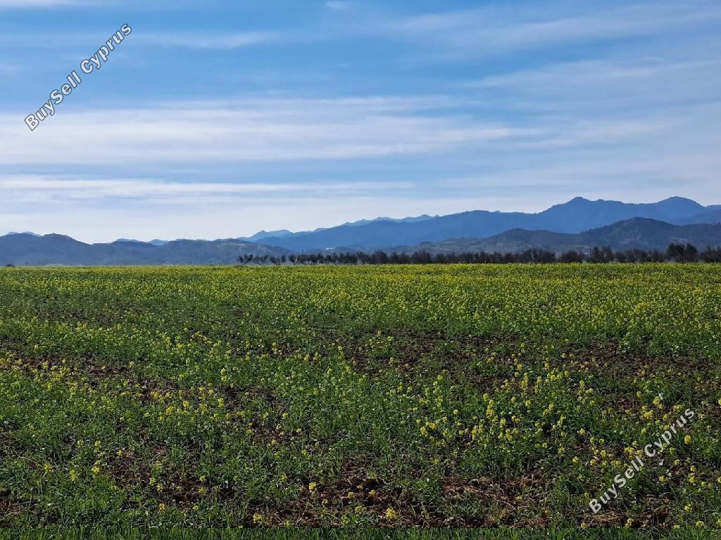 land for sale peristerona lefkosias nicosia 8244540 image 13833602