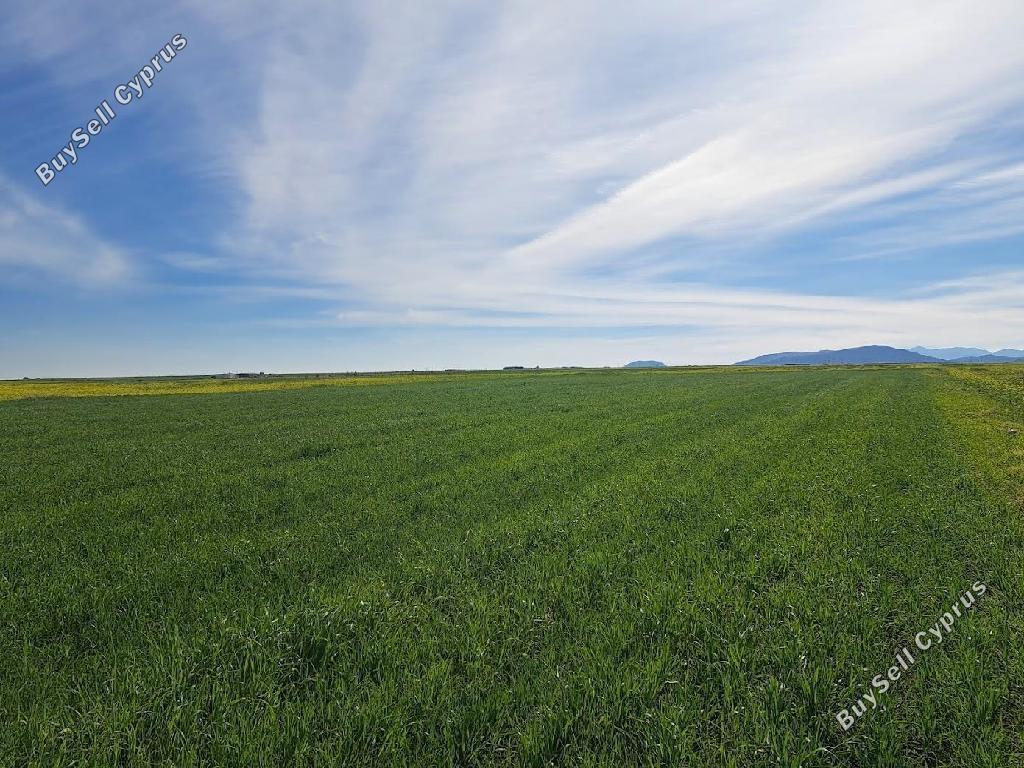 land for sale peristerona lefkosias nicosia 8244540 image 13833603