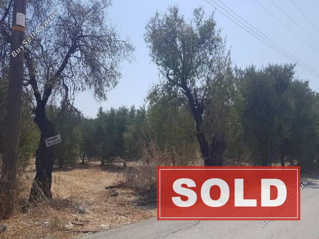 land sold anglisides larnaca 826540 image 678111