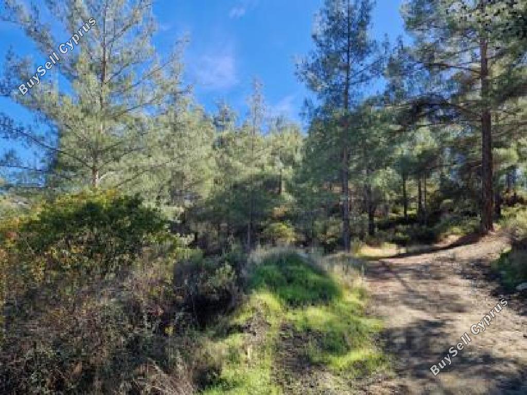 6857 SQM Land for sale in Pelendri, Limassol 15594909
