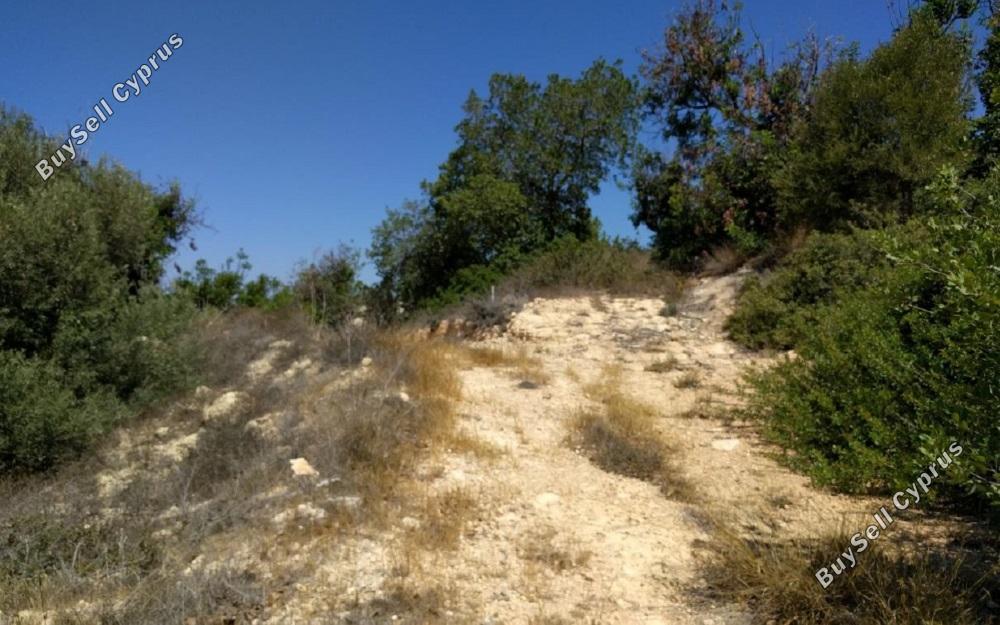 land for sale lofos tala paphos 939640 image 835604