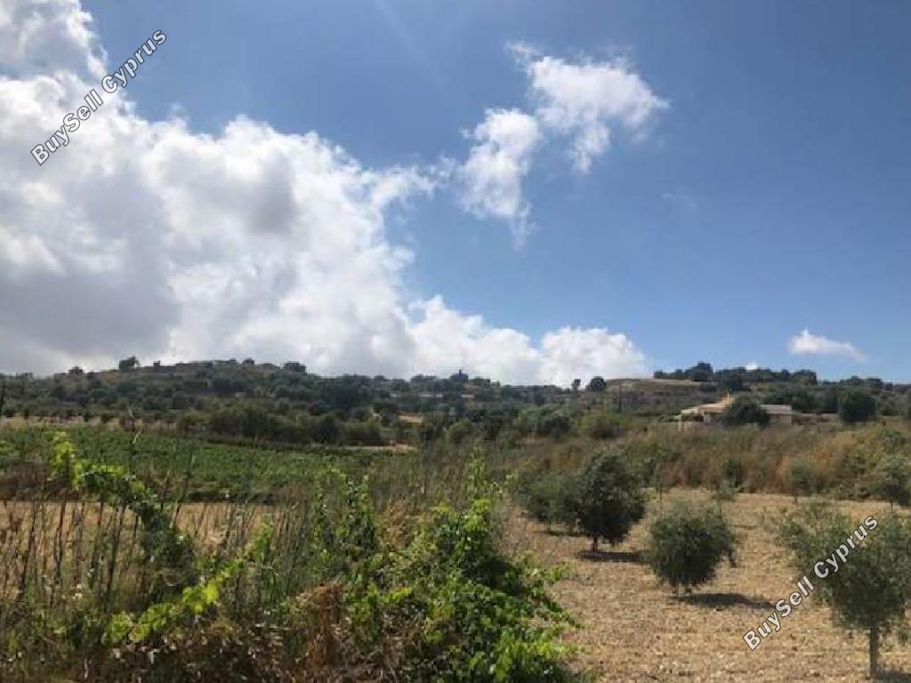 land for sale stroumbi paphos 824640 image 16992576