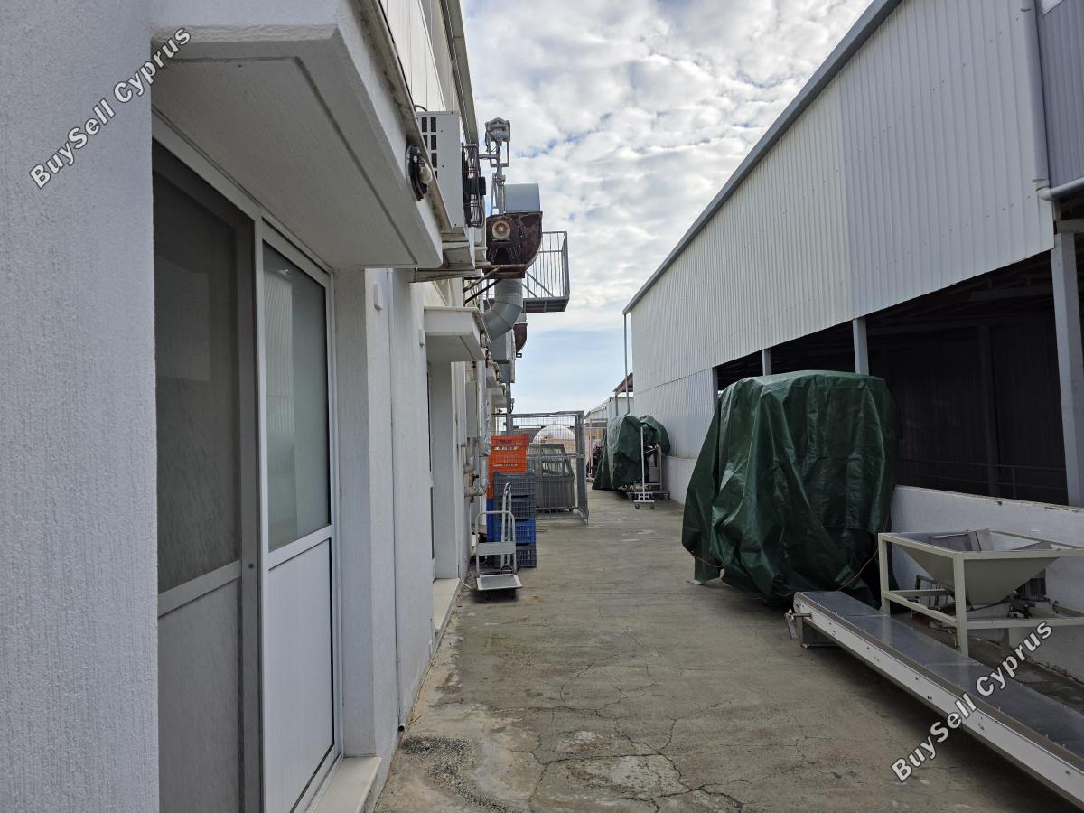 studio building for sale pano polemidia limassol 1889640 image 11475728