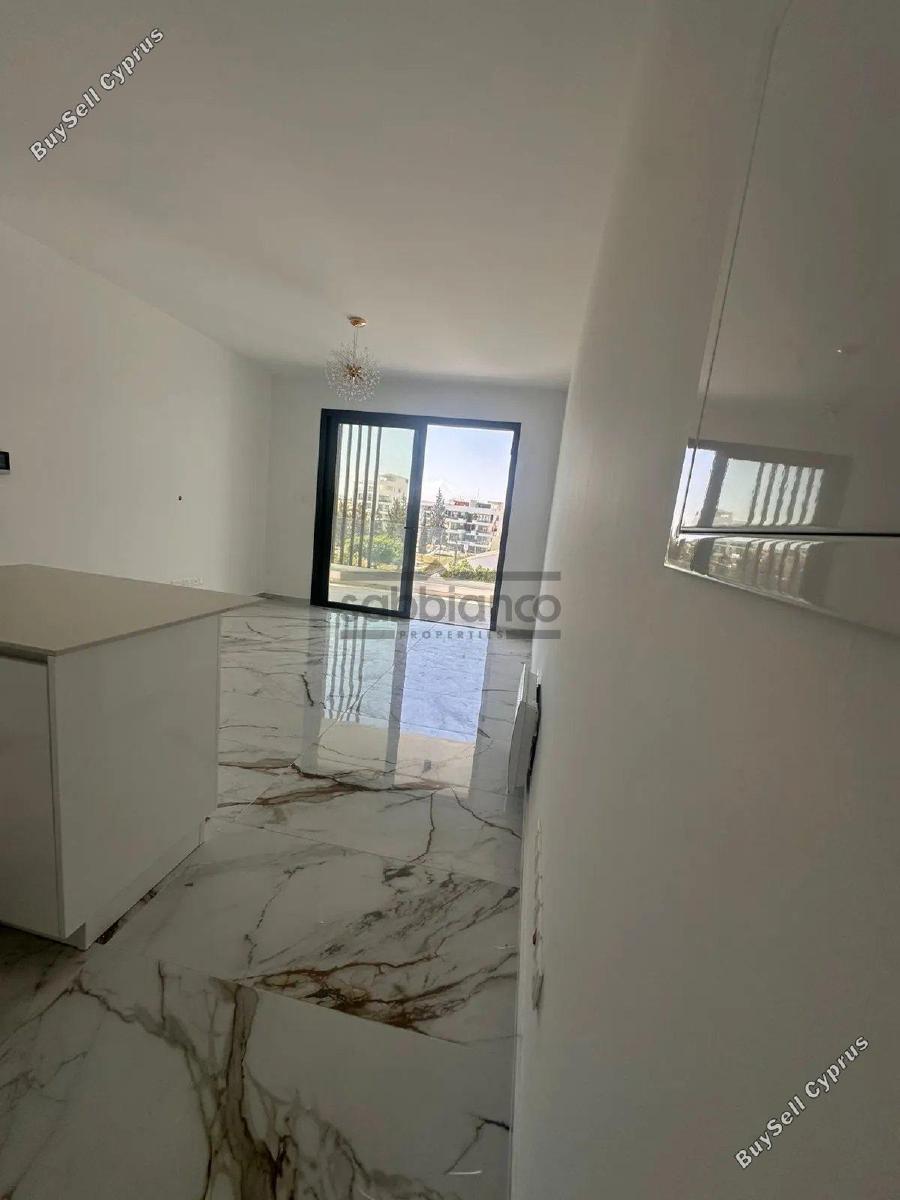 1 bedroom apartment for rent egkomi nicosia 8740740 image 16385384