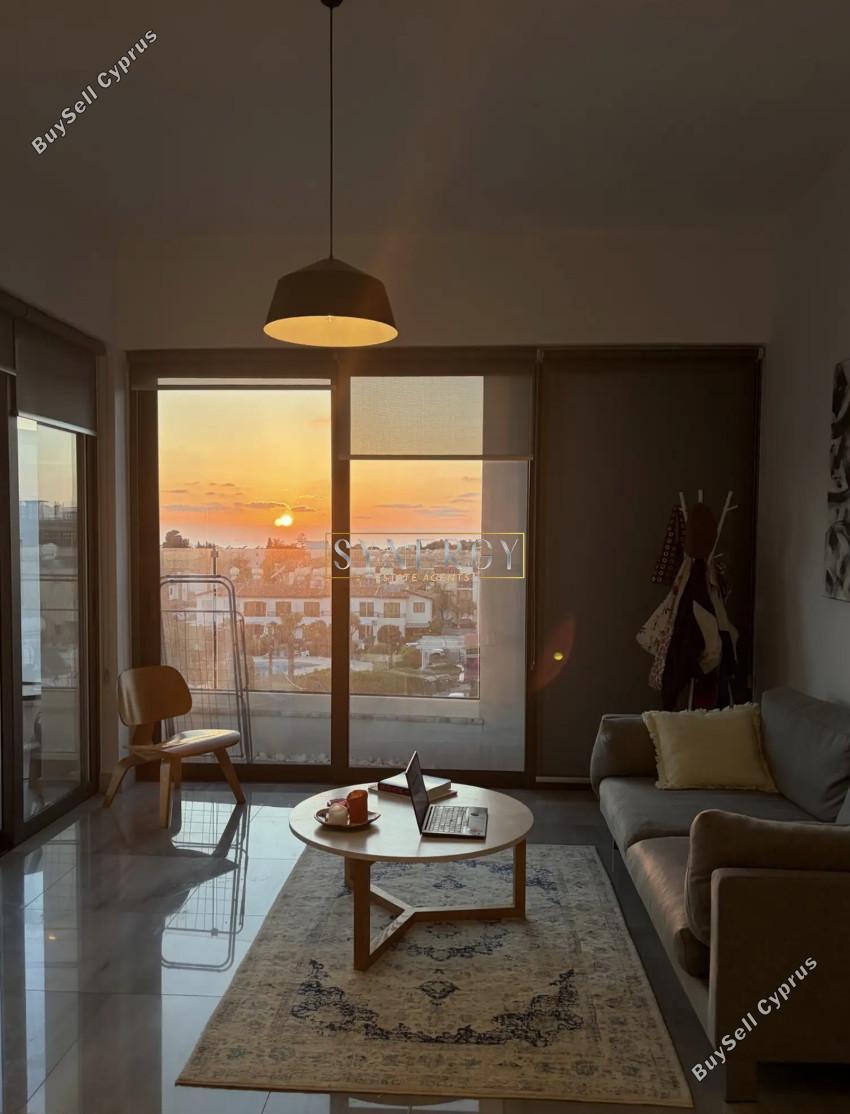1 bedroom apartment for rent kato paphos paphos 8941740 image 17681945